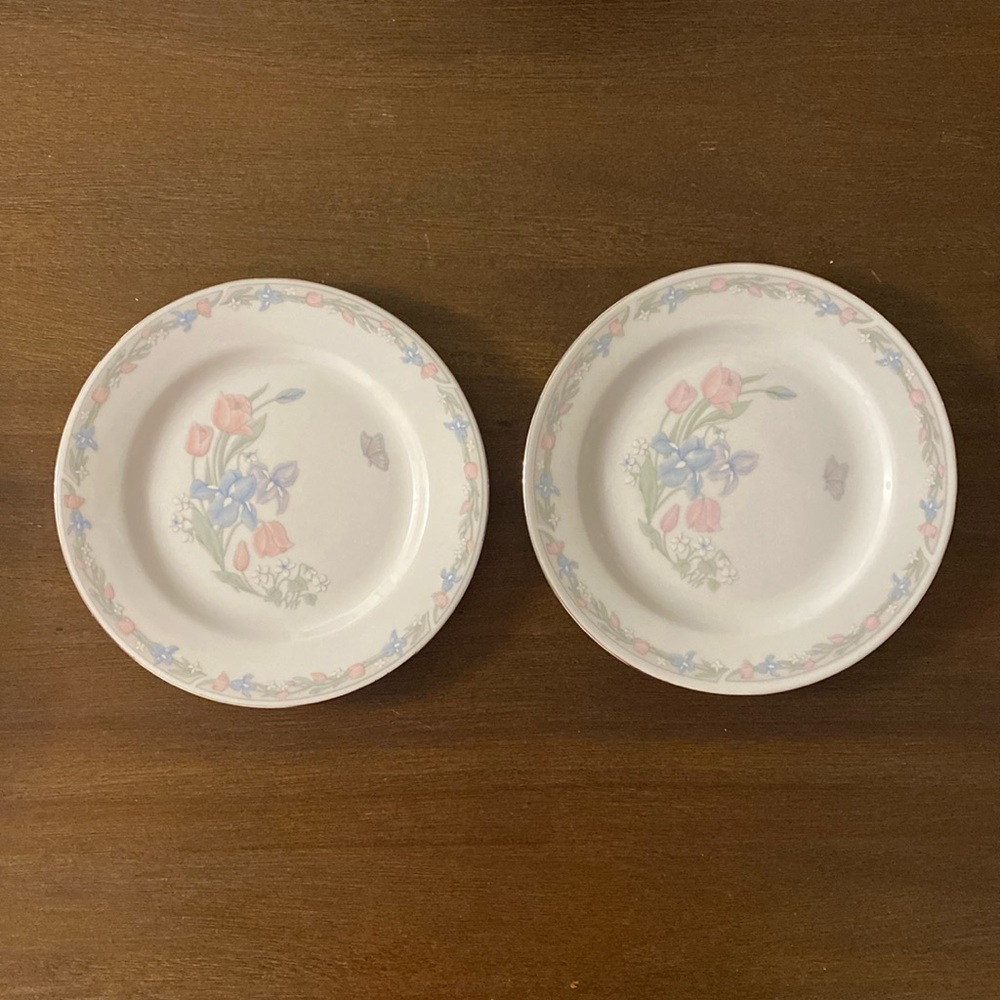 (2) Illusions By Excel Center Stage 7” Bread & Butter Plates w/ Silver Trim